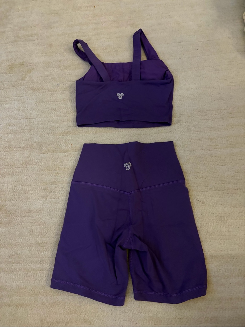 Aritzia Purple Athletic Bike Shorts & Crop Sports Set